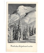 RPPC 1953 Austria New Years RPPC Neuen Jahr Snowy Mountain Trees - $4.99