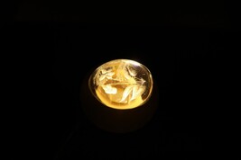 Item image 15