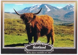 Postcard Wha Daur Meddle Wi&#39; Me Scotland Highland Cow - £2.35 GBP