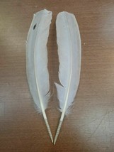 YZ45 Matched Pair Lilac Turkey Wing Feathers - £7.89 GBP