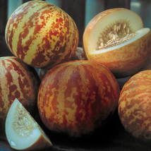 Fresh Garden Tigger Melon Seeds  Non-GMO  - £7.16 GBP