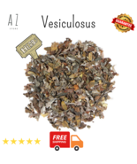 Premium Organic DRIED Fucus Vesiculosus عشبة فوقص حويصلي - $324.70 MXN+