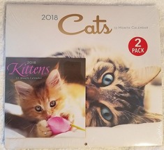 2018 Illustrated Wall Calendars with Matching Mini Calendars, 12x11-in A... - £4.53 GBP