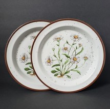 2-Vintage Field Daisy No. 203 8&quot; Stoneware Salad Dessert Plates Made in ... - £18.40 GBP