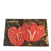 Postcard Red Anthurium Hawaiian Plant Flower Chrome Unposted - $4.15
