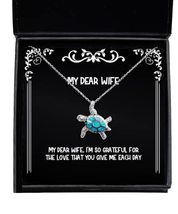 Fun Wife, My Dear Wife, I&#39;m so Grateful for The Love That You give me Each Day,  - £40.05 GBP