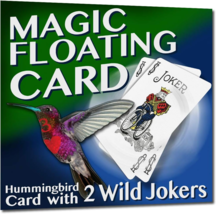 Hummingbird Card - The Ultimate Floating Card - Everything Included! - £10.17 GBP