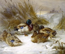 Giclee Ducks on the snow painting angels HD printed on canvas - $8.59+
