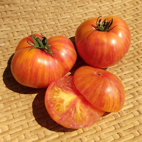 Item image 1 image 1