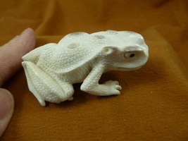 FROG-W29) little Frog shed ANTLER figurine Bali detailed amphibian love ... - $114.99