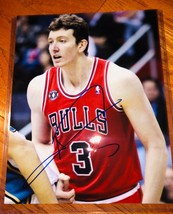 Chicago Bulls Hand Signed OMER ASIK basketball 8x10 photo  - £19.77 GBP