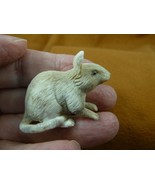 (MOU-W2) little white gray Mouse shed ANTLER figurine Bali detailed fiel... - €73,30 EUR