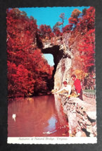 Natural Bridge Virginia Camera Fall Autumn Foliage Scalloped Tichnor Postcard - £2.98 GBP