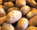 Russet Seed Potatoes Usda Certified Planting Brown Burbank Potato Seed  - $29.70