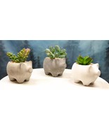 Set of 3 Realistic Artificial Botanica Succulents in Little Pigs Pot 5&quot; ... - $68.33 CAD