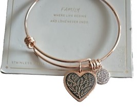 Stainless Steel ~ Bangle Bracelet w/Charms ~ FAMILY ~ Rose Gold Finish - £18.34 GBP