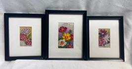 3 Vtg Flower Packet Label Matted &amp; Framed Art Veveine Hybride Cosmos Pou... - £23.94 GBP