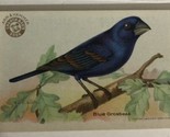 Blue Grosbeak Victorian Trade Card Arm And Hammer VTC 5 - $4.46