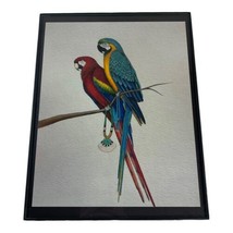 Scarlet Blue Gold Macaw Zuni Inlaid Necklace Southwest Print Picture Framed 8x10 - £36.81 GBP