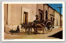 Nogales AR Arizona Donkey Cart South of The Border Old Mexico Postcard R28 - $9.95