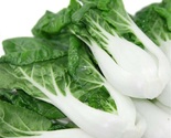 Pak choi white stem 3 thumb155 crop