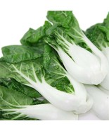 400 seeds Pak Choi White Stem Vegetable Plant Seeds Garden Yard - $13.95