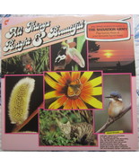 All Things Bright And Beautiful - Michael Clack, Vinyl, LP, 1978, Very G... - $351.44 MXN