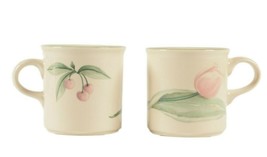 Pfaltzgraff Garden Party Mugs Set of 2 USA Excellent Condition - £9.56 GBP
