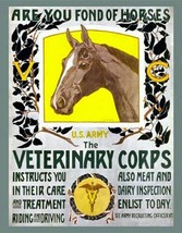 VETERINARY CORPS 8X10 PHOTO WWI USA US ARMY MILITARY HORSE - $4.94