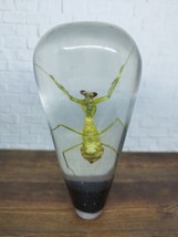 Underwater Real Mantis Gear Shift Knob Acrylic Resin_c109 - £89.90 GBP