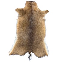 Real Duiker Skin - Real African Duiker Hide D-975- Approx. Size: 29&quot; x 18&quot; - $1,262.91 MXN