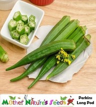 US Seller Okra Perkins Long Pod Large High Yields Pickling Gumbo 50 Seeds New Fr - £6.29 GBP