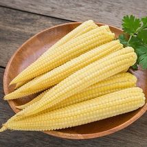 Bonus Baby Corn Seeds 60 Seeds Non-GMO - £11.95 GBP