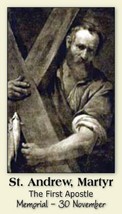 St. Andrew, Patron Saint of Fishermen, LAMINATED Holy Card 5-Pack - £10.17 GBP