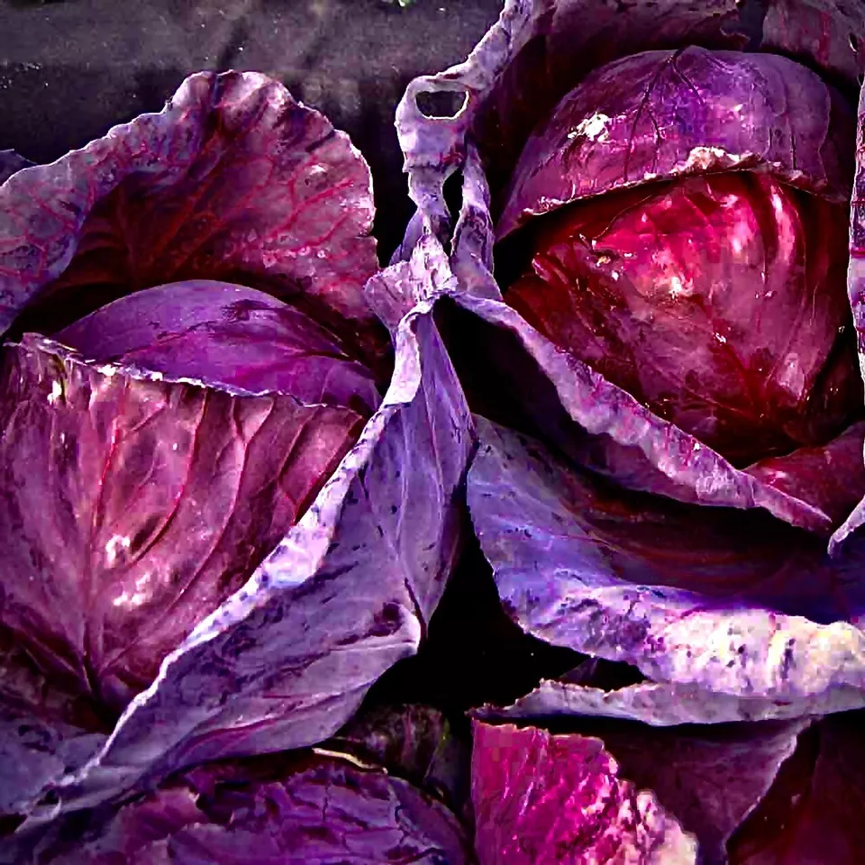 Red Acre Cabbage Seeds | Non-GMO | Fresh Garden 200+ Seeds| Heirloom| - £7.05 GBP