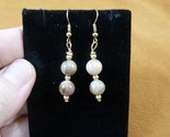 DP1-27 REAL DINOSAUR POOP beaded dangle EARRINGS Utah ancient Dino Copro... - $18.99