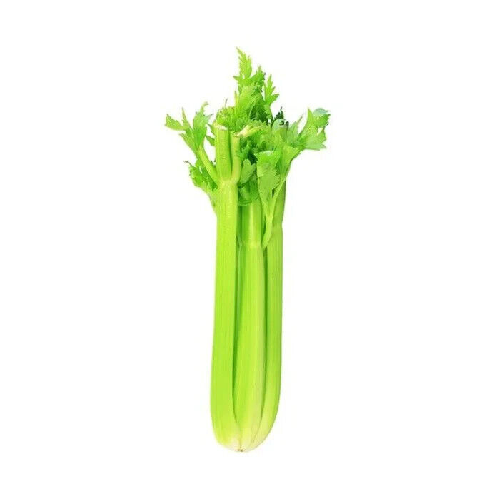 SKMO Celery 20 Vegetable Seeds -  - $1.93