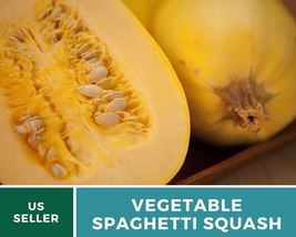 20 Squash Spaghetti Seeds Cucurbita pepo Vegetable Gluten Free Pasta Substitute - £12.59 GBP