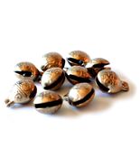 TIBETAN BRASS BELLS LOT of 10 16mm Bead Craft Temple Herding Small Metal... - $7.95