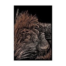 Royal &amp; Langnickel Copper Engraving Art A4 Size Ducks Designed Painting ... - $204.60 MXN