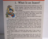 1978 Walt Disney&#39;s Fun &amp; Facts Flashcard #DDF8-1: What is an Insect - $2.00
