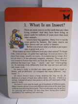 1978 Walt Disney&#39;s Fun &amp; Facts Flashcard #DDF8-1: What is an Insect - $2.00