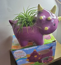 Live Air Plant in Dinosaur Animal Planter, 5" purple glazed ceramic pot, Tyson image 7