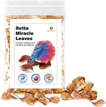 50 pcs Catappa Indian Almond Leaves for Betta Fish Tank Aquarium, 2” - £7.79 GBP