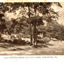 c1905 Linden Drive Scranton PA 6450 Home From the Street Horse Buggy Postcard - £7.81 GBP
