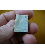 (O-240-6) 6.4 gram green orange flash Coober Pedy opal specimen stone Au... - $23.06 CAD