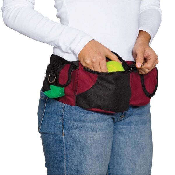 Deluxe Dog Training Treat Bags Red Waist Storage Fanny Pack Travel Accessory