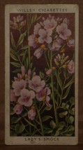 Vintage Wills Cigarette Cards Wild Flowers No # 19 Number X1 b20 - £1.36 GBP