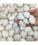 FANTIAN 5LB Natural Polished White Pebbles for Indoor Planters - 1.2-2 I... - £21.20 GBP