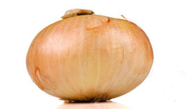 500 Vidalia Onion Seeds For Garden Planting    From US - $10.48